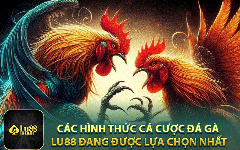 Các hình thức cá cược đá gà Lu88 đang được lựa chọn nhất
