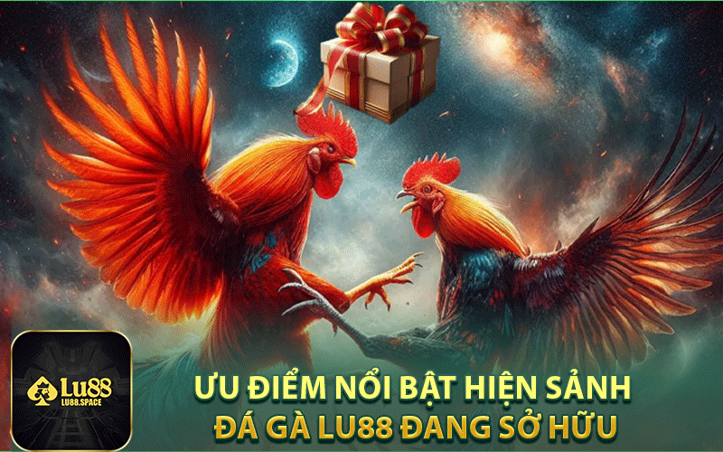 Những ưu điểm nổi bật hiện sảnh đá gà Lu88 đang sở hữu